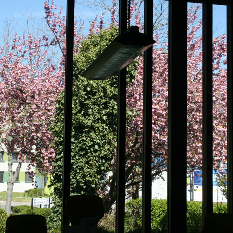 Zentralmensa Blick Speisesaal Fenster Biozentrum
